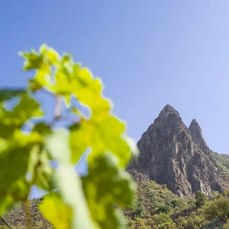 Ferienhaus Las Cuevas Del Rincon - Rural - Bbq - Pool Valsequillo de Gran Canaria